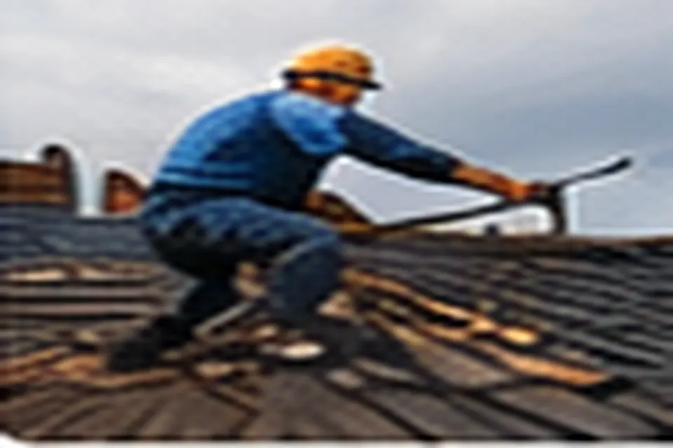 Maison avec toiture rénovée